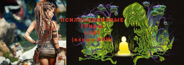 прущие крисы Осташков