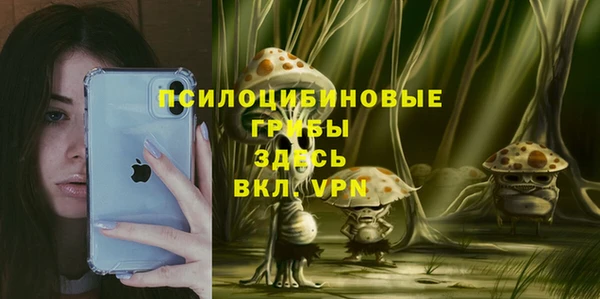 прущая мука Арсеньев
